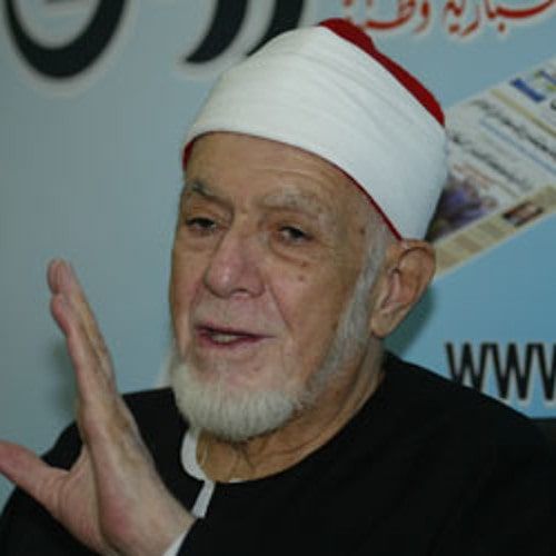 احمد محمد عامر